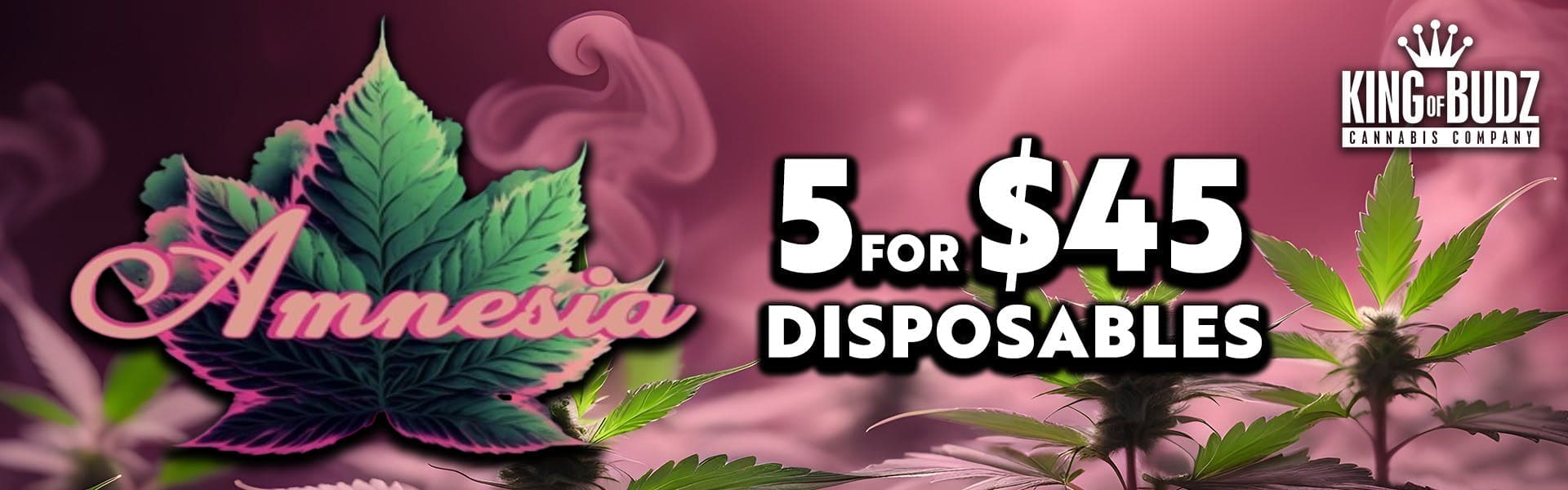 Amnesia 1g Disposables 5/$45